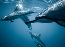 九游：把游戏带回家门口的温度